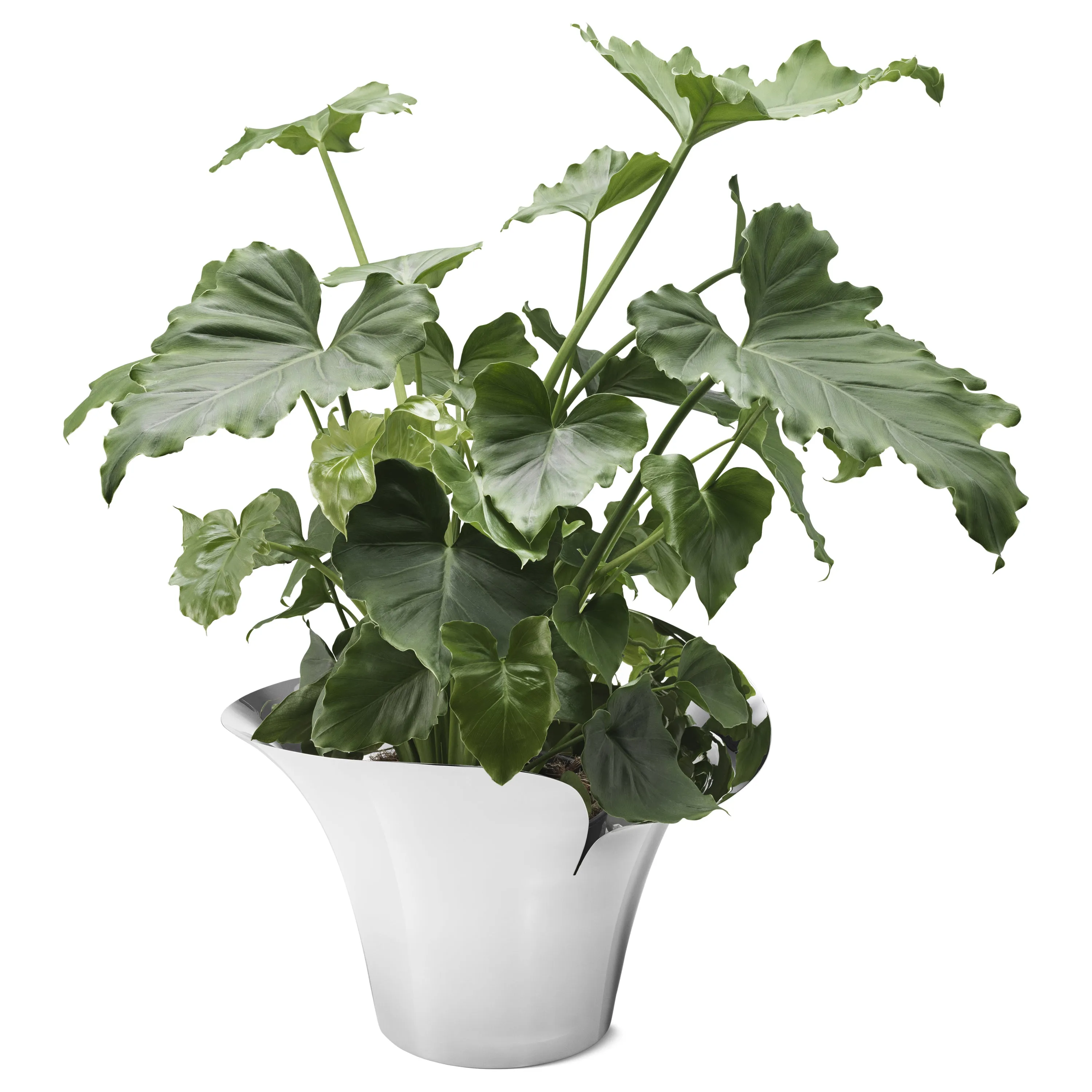 Bloom Botanica Flower Pot