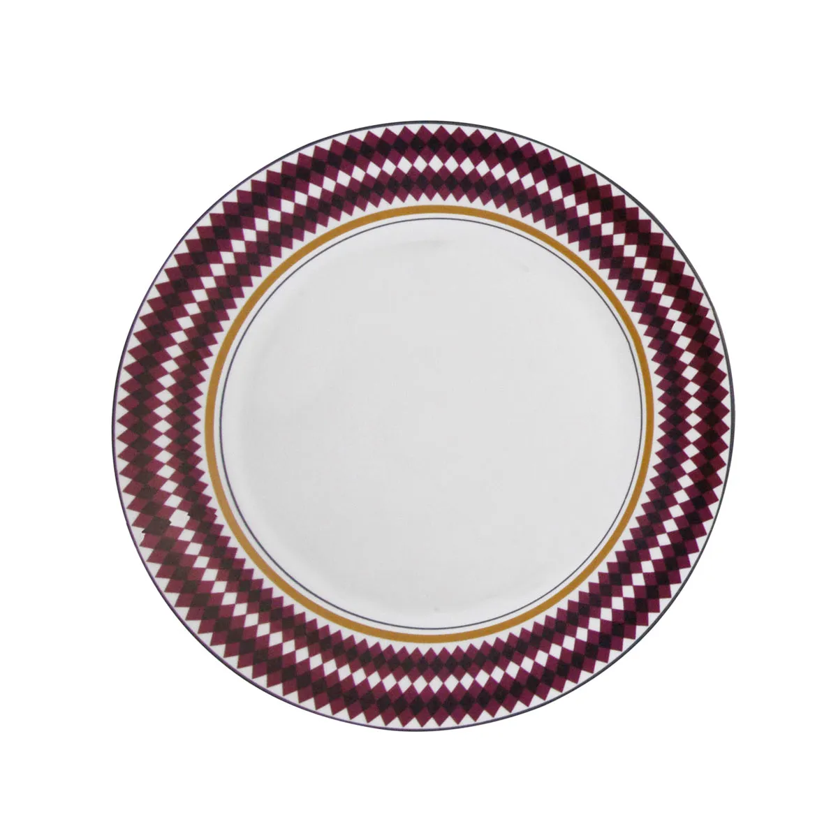 Evolution Dinner Plate (Set of 4)