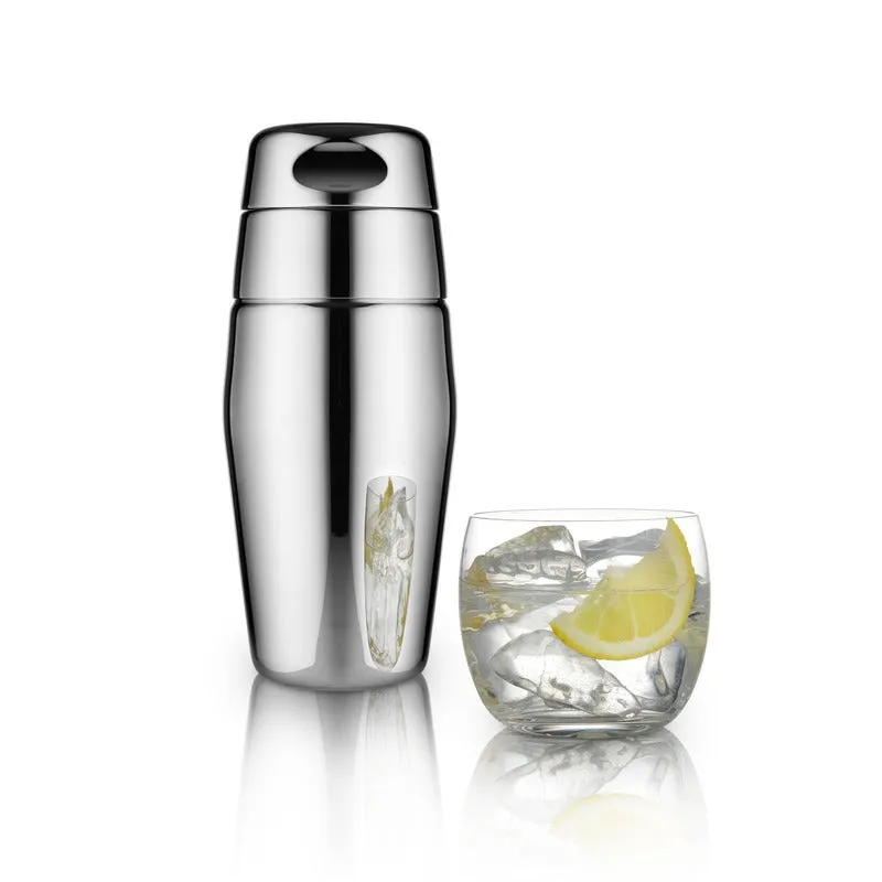 Mirror Cocktail Shaker