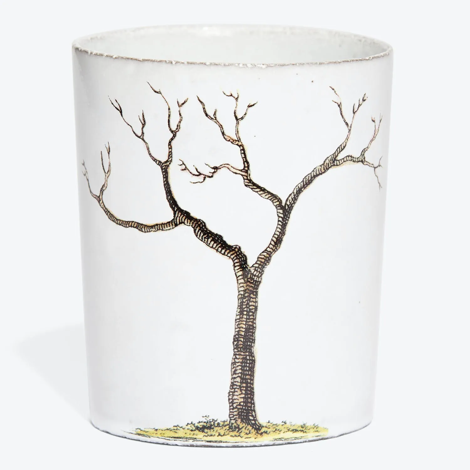 Pear Tree Cup