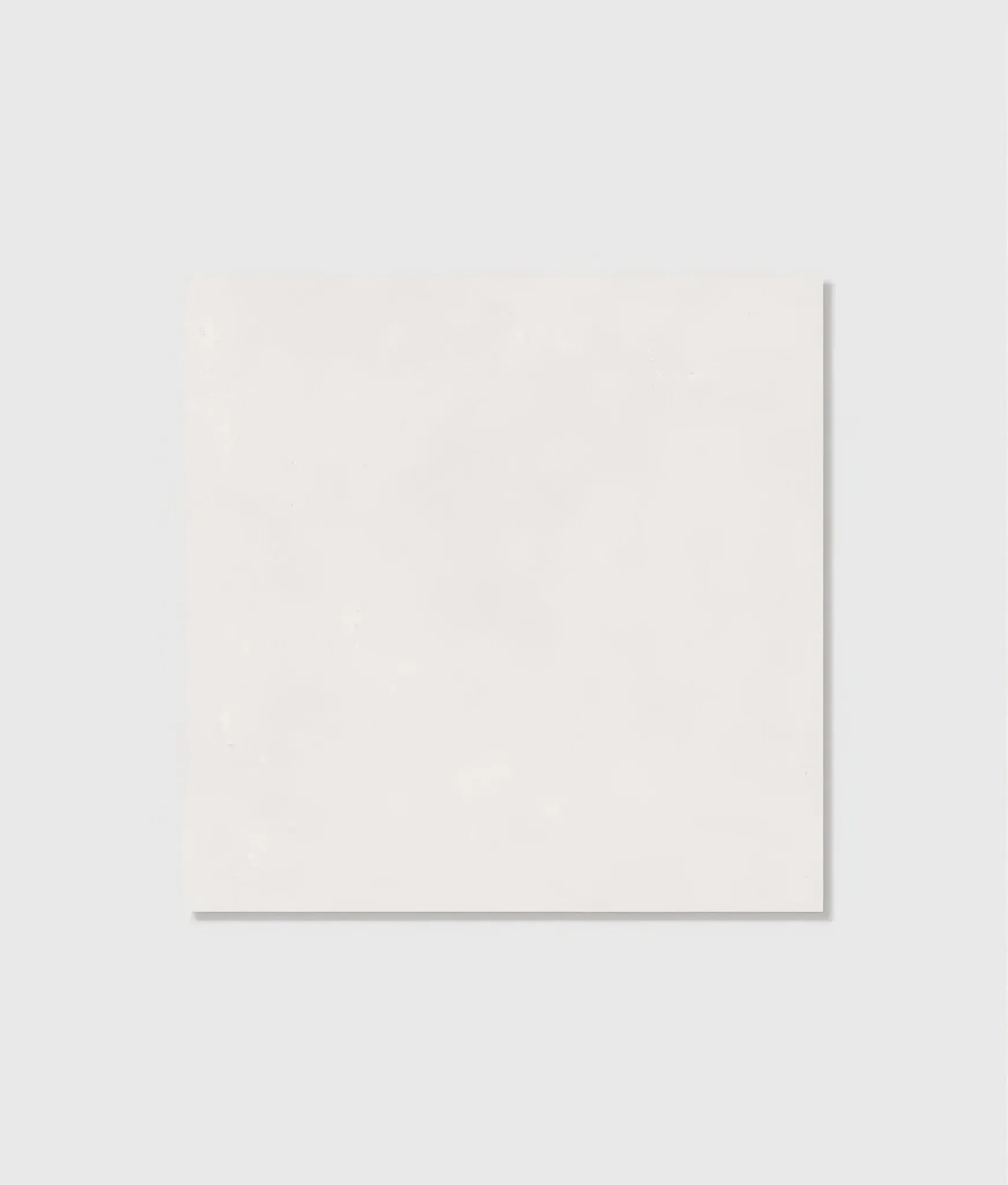 Portare Portare Porcelain Matt 59.5 x 59.5cm