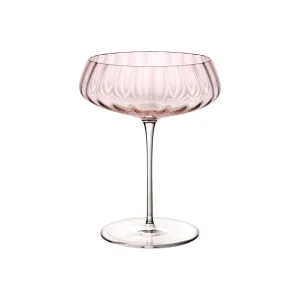 Round Up Coupe Glass (Set of 2)