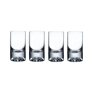 Shade Ball Glass (Set of 4)
