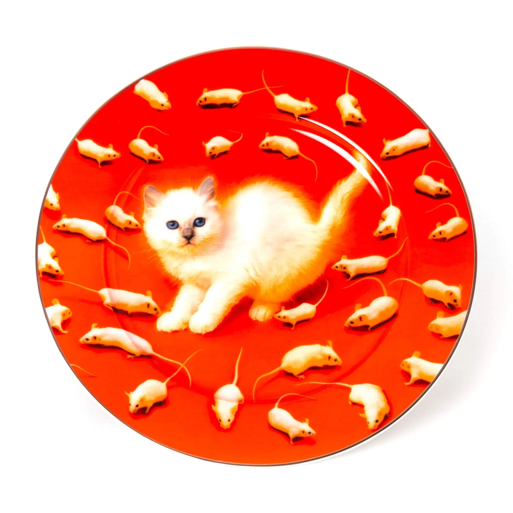 Toiletpaper Porcelain Dinner Plate Set